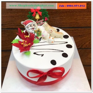 Bánh Kem Tặng Ngày Giáng Sinh - BR04